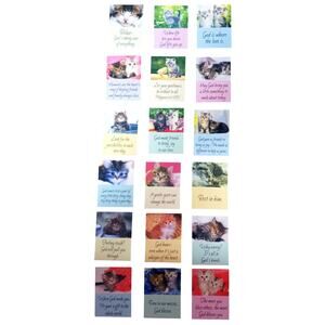 YOU CHOOSE-Cat Refrigerator Magnet Quotes Hope Faith Love Kindness Gods Promises